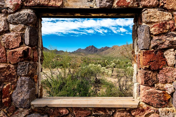 Window into the Sonoran Desert